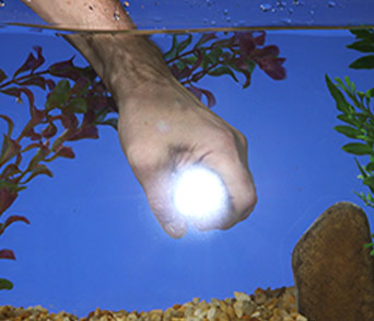 Tac Light on and working while submerged in water